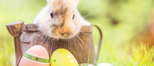 Tradiciones de Pascua en Francia y en el mundo