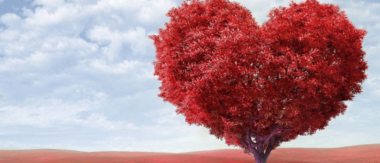 Frases en francés sobre la vida y el amor