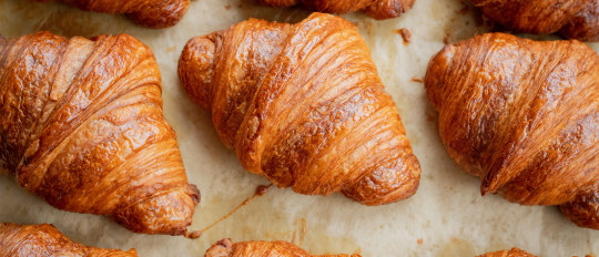 Cómo pedir en una pastelería francesa: frases y etiqueta
