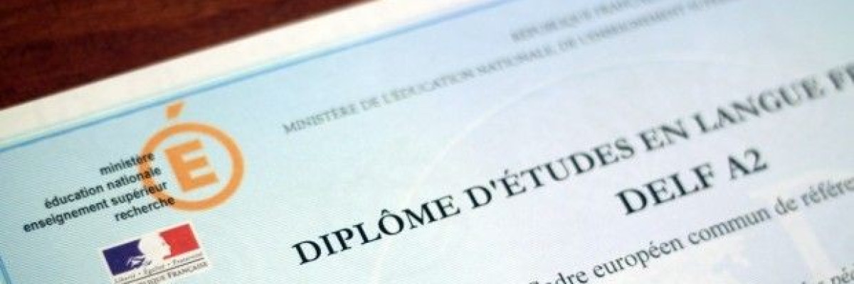 ¿Vale la pena obtener el certificado DELF?