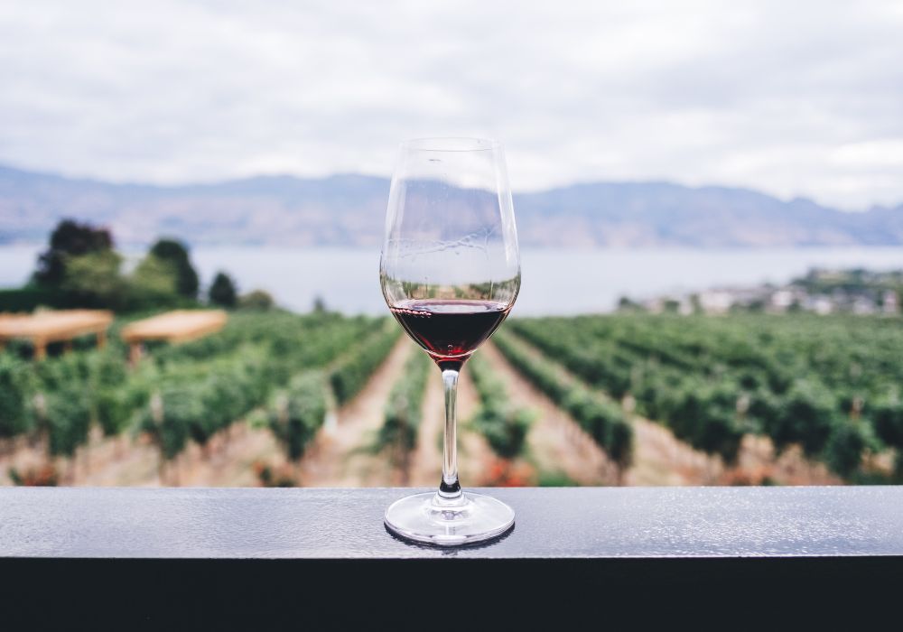 Catas de vino en la Costa Azul: explora los terruños de la Provenza